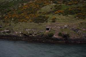 HARINGTON-POINT-DUNEDIN (38)